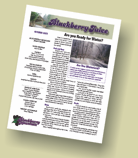 April 2025 Newsletter